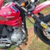 Yamaha YBR 125 (2020)